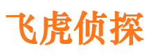 兴国市私家侦探